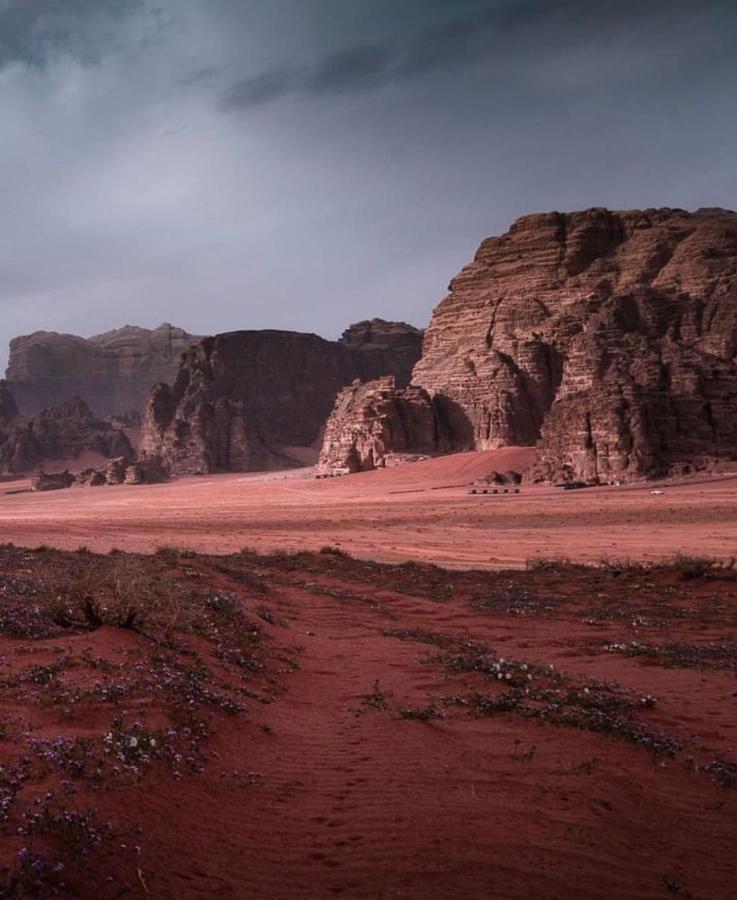Wadi Rum Camp Kültér fotó