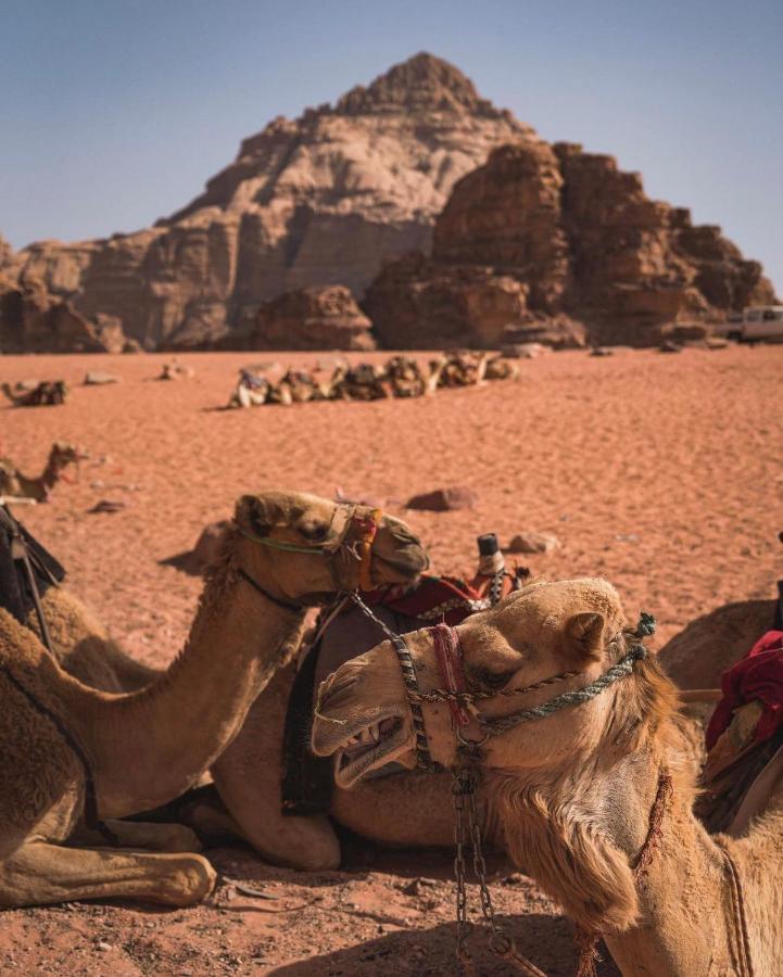 Wadi Rum Camp Kültér fotó
